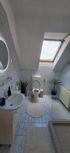 a bathroom with a sink and a toilet in it at The HOME in Ditrău
