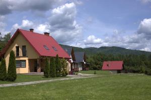 a house with a red roof on a green field at Domki u Gretka in Lutowiska