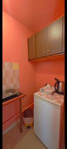 a small kitchen with a stove and a refrigerator at Revival rooms in Nikiana +47 photos