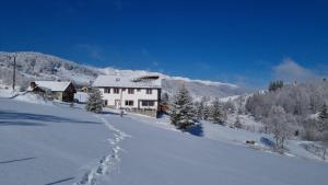 a house on a snow covered hill with trees and mountains at Casa Cătălin-Puntea Craiului in Şirnea