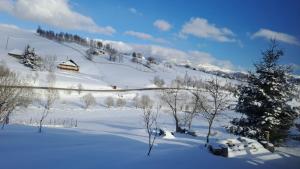 a snow covered hill with a cabin on it at Casa Cătălin-Puntea Craiului in Şirnea