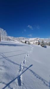 a snow covered field with footprints in the snow at Casa Cătălin-Puntea Craiului in Şirnea