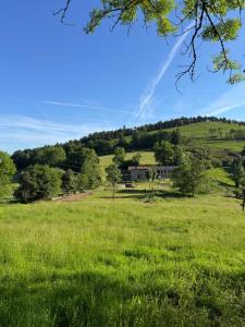a field of green grass with a house in the distance at Gîte de Rille in Castelnau-Durban