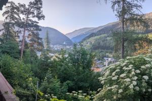 a view of a valley with trees and mountains at Mitzi's Zauberblick in Landeck