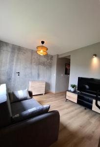 a living room with a couch and a flat screen tv at Zacisze Wilcza in Zarzecze