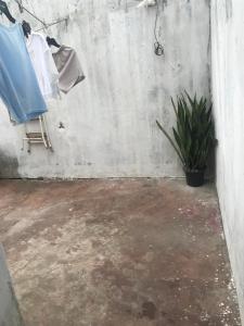 a room with a concrete wall and a potted plant at Wesley in São Luís
