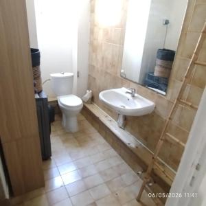 a bathroom with a sink and a toilet at Tikanel in Schœlcher