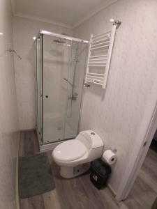 a bathroom with a toilet and a glass shower at Refugio Austral in Punta Arenas
