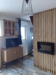 a living room with a fireplace and a tv at Studio montagne in Mijoux +9 photos