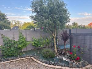 a garden with a tree and flowers in front of a fence at La Carola in Bordeaux-Saint-Clair