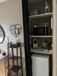 a kitchen with a shelf and a microwave at La Carola in Bordeaux-Saint-Clair
