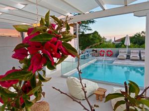 a view of a pool from a house with a plant at Astre&Jeanne suites in Sozopoli