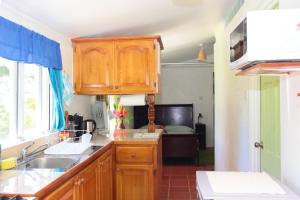 a kitchen with wooden cabinets and a sink at Bluemoon Studio in Morne Prosper