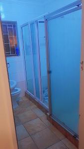 a bathroom with a toilet and a glass shower door at Foodong Accommodation in Worcester +21 photos