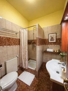 a bathroom with a toilet and a shower and a sink at HoldLux Green Keyless 0-24 Apartman in Sárvár