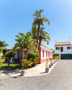 a house with palm trees and a gravel driveway at Maria's Village in Tavira