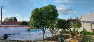 a yard with two trees and a swimming pool at Cantinho de Terena - Cheiros Da Terra in Terena +30 photos