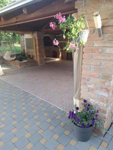 a patio with flowers in pots on a brick wall at Apartman Vučedolski san in Vukovar