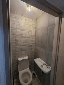 a small bathroom with a toilet and a sink at Apartament Rosa in Rydułtowy