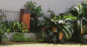 a fence with a bunch of plants next to a building at Rittoo Complex -Gavnor in Quatre Bornes