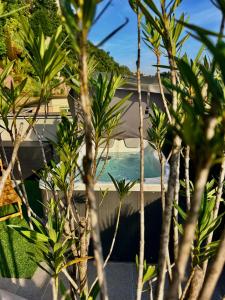 a view of a swimming pool through the trees at Felicita Cascata Terrace with Lake View in Lecco