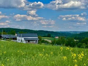 a field of yellow flowers in front of a white house at Domek Na Wzgórzu Roztocze in Majdan Abramowski