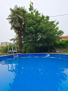 a blue swimming pool with a palm tree and a chair at Vivenda Juliano Freitas in Atães