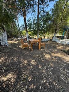 a picnic table and two chairs in a park at DaSH EV in Bodrum City +10 photos