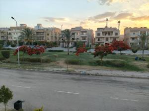 an empty street in a city with palm trees and buildings at Villa131 Hotel in Cairo +26 photos
