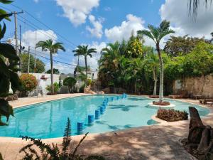 a large swimming pool with palm trees in a yard at Ecotel Quinta Regia in Valladolid