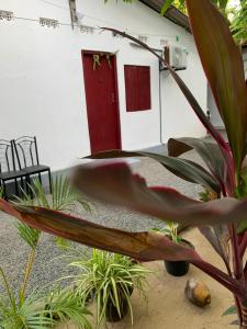 a house with a red door and some plants at Lathu - zen Stay Hotal in Trincomalee