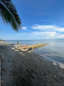 a beach with a palm tree and the ocean at Apartamentos en coveñas in Coveñas