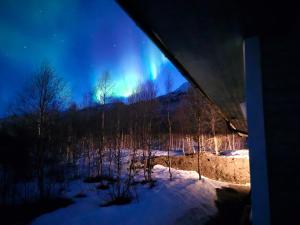 a view of the northern lights from a house in the snow at Fjord & Flame in Tromsø +50 photos