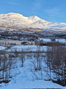 a snowy field with trees and snow covered mountains at Fjord & Flame in Tromsø