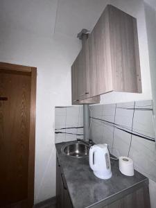 a small kitchen with a sink and a counter top at Villa Enhalon in Struga
