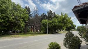 an empty street with trees on the side of the road at Studio Djordjevic in Kraljevo
