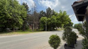 an empty street with trees on the side of the road at Studio Djordjevic in Kraljevo