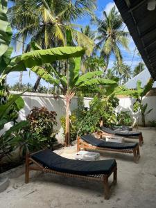 a group of beds on a beach with palm trees at Zanzi coconut house in Jambiani