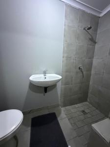a bathroom with a sink and a toilet at Amani Nest in Arcadia