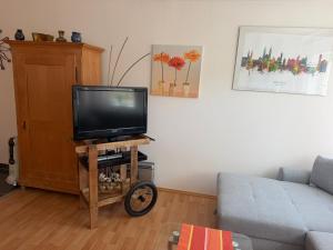 a living room with a flat screen tv on a cart at Ferienwohnung AARONA in Memmelsdorf