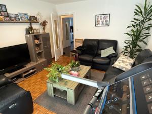 a living room with a couch and a tv at Cosy Place in Monthey