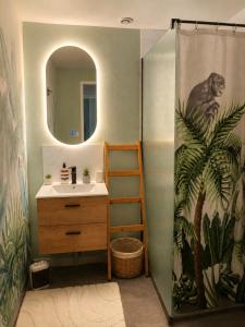 a bathroom with a sink and a monkey shower curtain at ROOMS HOME CSM Suites privees élégantes entre Reims et Disneyland Paris 1 à 8 personnes in Charly-sur-Marne +54 photos
