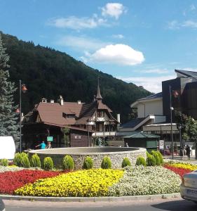 a building with a garden of flowers in a town at Splendid view Sinaia in Sinaia