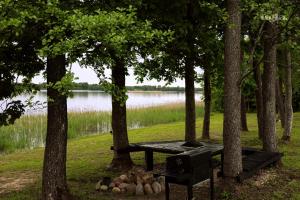 ein Picknicktisch in einem Park neben einem See in der Unterkunft Ūgļa in Puša + 6 Fotos