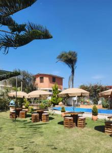 a group of tables and umbrellas next to a pool at Bungalows Payancas de Tato in Barranca