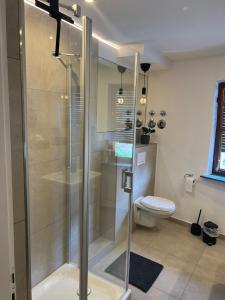 a bathroom with a shower and a toilet at Altstadtappartment Plötze 13 Limburg in Limburg an der Lahn +17 photos