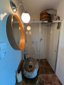 a bathroom with a toilet with a mirror and a sink at Ubytování u Kotrbů in Suchdol nad Lužnicí +10 photos