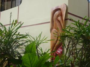 a wood carving of a snake next to some plants at Hotel Red Booby in Puerto Ayora +14 photos