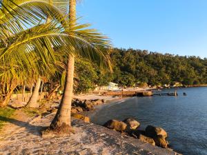 a beach with a palm tree and water and rocks at Aconchego das Conchas in Mangaratiba