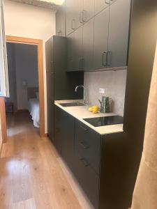 a kitchen with dark green cabinets and a sink at Central Bilbao, 3min walk to Guggenheim with AC in Bilbao +7 photos